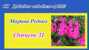 СП "Добиваю недовязы - 4/2025" / Отчет 31