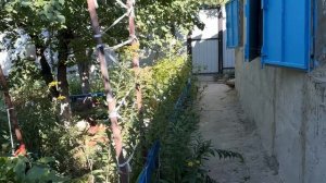 Какие в саду у меня дела сейчас