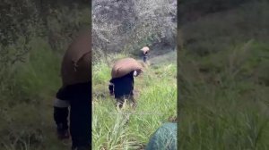 Контролируем все этапы сознания и транспортировки нашего масла урожая ноябрь 2024