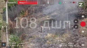 СВО Наглядное видео, как ВСУ относятся к своим людям