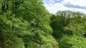 Энергия Горячего Ключа