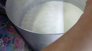 Голландский круглый сыр