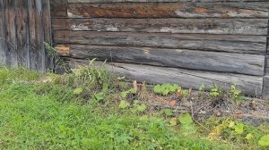 Привезли строй материал.