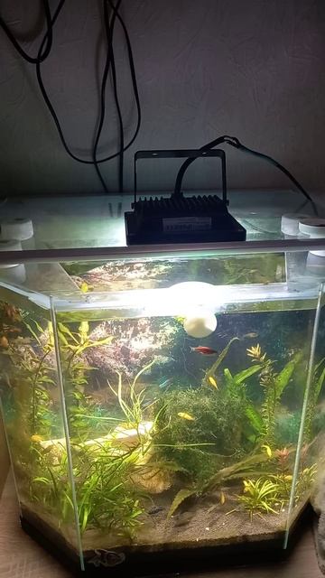 просто прожектор смотреть онлайн