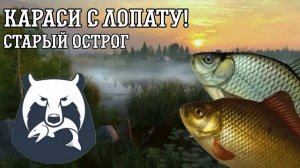 Трофейный карась русская рыбалка 4