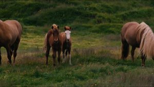 9722541-uhd_4096_1742_25fps