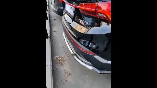 Защита бамперов и порогов на Hyundai Santa Fe . Hyundai Santa Fe