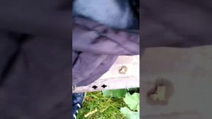 Привезли очередной партию металла на Дачу