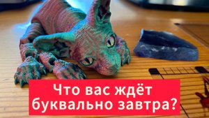 ❗️Что вас ждет буквально завтра? 🧸🎀✉️ расклад Tarot