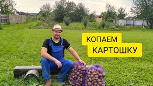 ПРИСТУПИЛИ К УБОРКЕ КАРТОФЕЛЯ / Деревенька на Урале / Выпуск 70