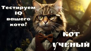 Кот ученый: IQ-тест для вашего пушистика.