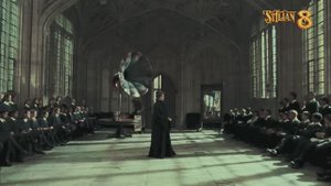 Stilian День Рождение в Стиле Гарри Потера