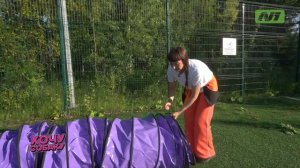 Как заниматься спортом с собакой? Что такое аджилити? Программа «Хочу собаку». Выпуск 9