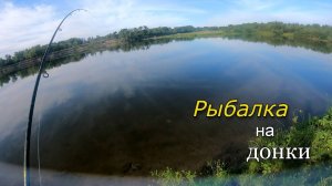 Рыбалка в августе на донки. Ловля САЗАНА на реке Ахтуба. Часть 2