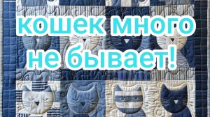 Кошек много не бывает