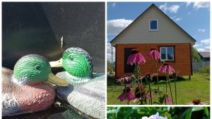 #7 Исцеление бесплатно. Самая вкусная еда. Август в деревне. Жизнь без дублей