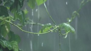 Последний летний месяц