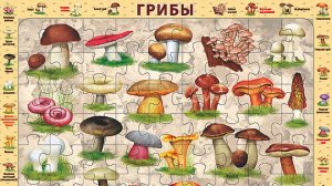 Собираем детский пазл на подложке "Грибы"
