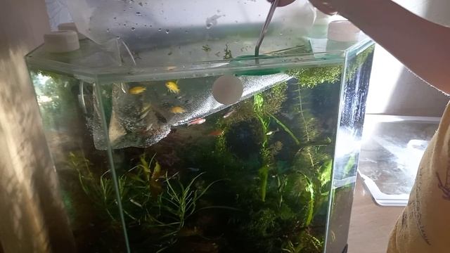 1000001196.mp4 смотреть онлайн