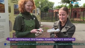 Природоохранные проекты Ленинградского зоопарка
