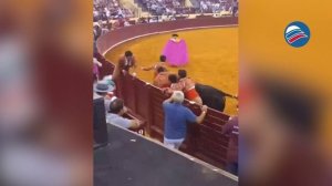 Первый выход на арену закончился трагедией для тореадора