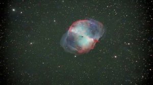 Гантель ИИ .mp4