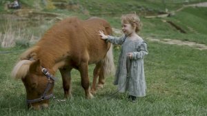 7671125-uhd_3840_2160_24fps