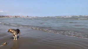 🔴 АФФИРМАЦИИ НА ВОССТАНОВЛЕНИЕ СИЛЫ, ЭНЕРГИИ! НА ПОДЧИН!