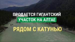 Купить самый большой участок в окрестностях Чемала, рядом с берегом Катуни в Горном Алтае