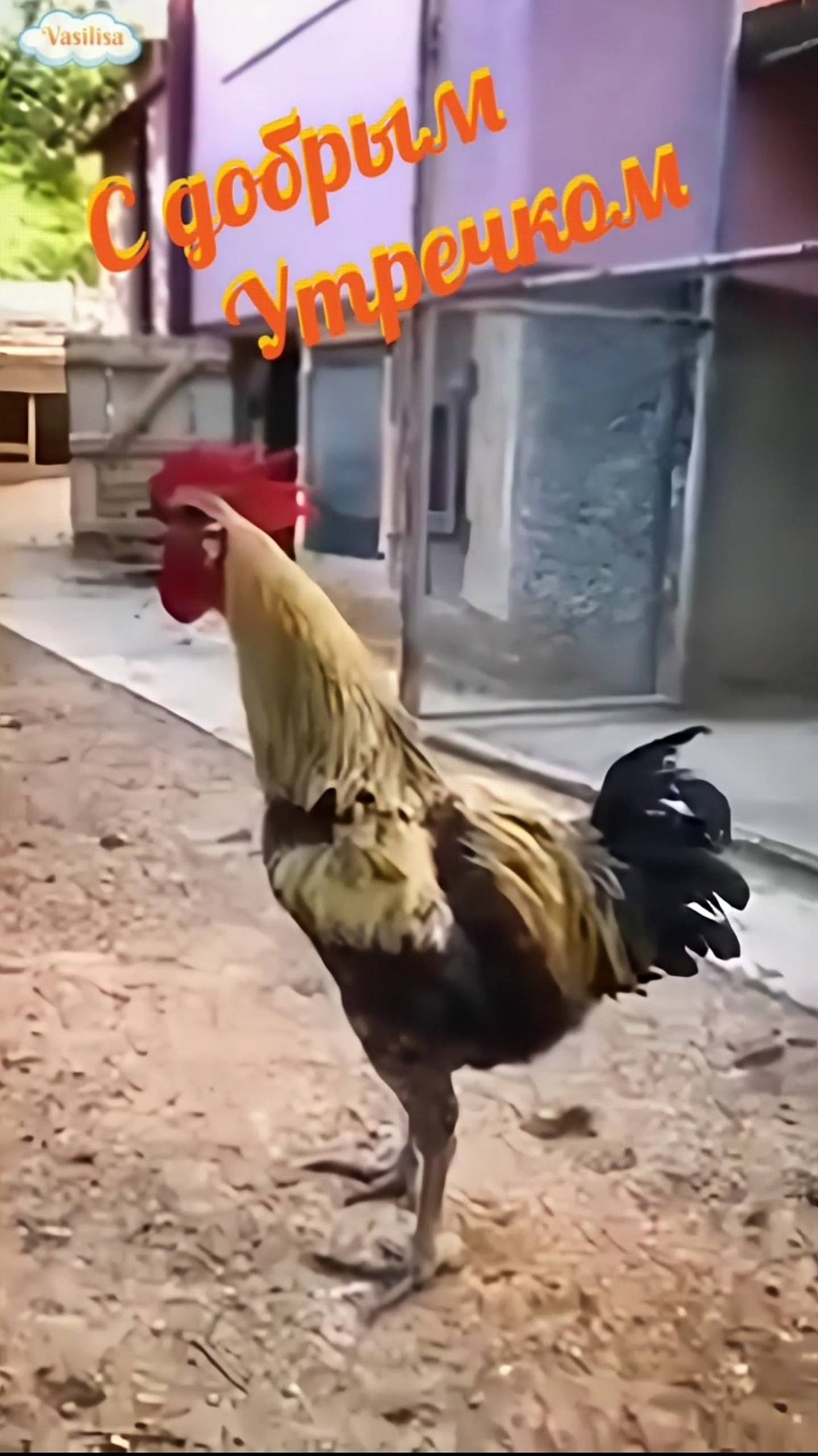 С Добрым Утречком 🥰 смотреть онлайн