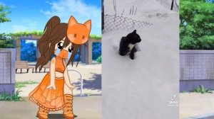 коты России 😁