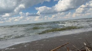 1013. ♫ Céline Dion - "Just walk away"(просто уходи)