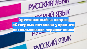 Арестованный за подрыв «Северных потоков» украинец воспользовался переводчиком