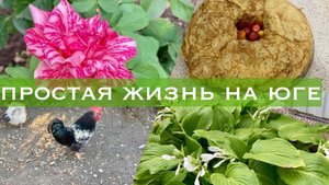 Жизнь в Адыгее/ Дело сделано /Второй урожай /Каждый блин комом/ Решение найдено/