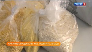 Россельхознадзор_Как правильно сохранить продукты запаса_Полезная передача_26.08.2025