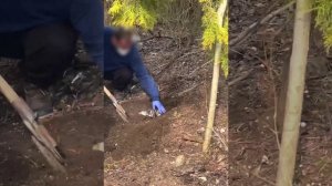 Донбасс кишит Ждунами!