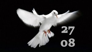 27.08.2025 - Прямая трансляция ст.Елизаветинская