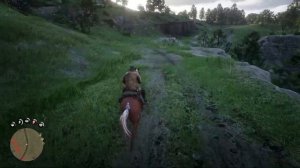 Драка в салуне! Чем заняться в Валентайне Red Dead Redemption 2 #3