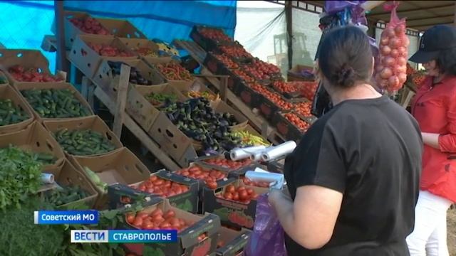 Стоимость набора сезонных овощей на Ставрополье в среднем выросла на 20% процентов