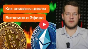 Как связаны циклы Биткоина и Эфира? Рассказывает Илья Сдобников