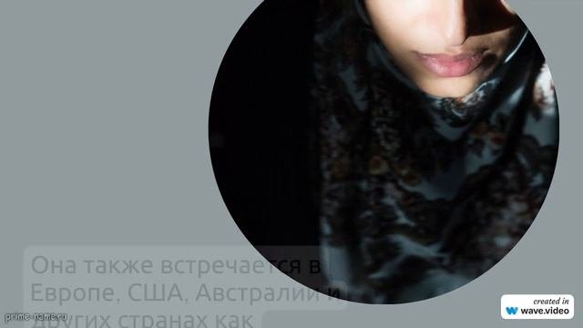 Полный гайд по фамилии Абида: происхождение, история, значение и склонение
