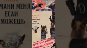 Обслуживатели и продлеватели 404