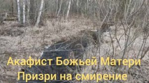 Акафист Божьей Матери Призри на смирение