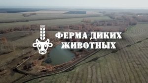 Ферма диких животных ЗАО племзавод "ИРМЕНЬ".
