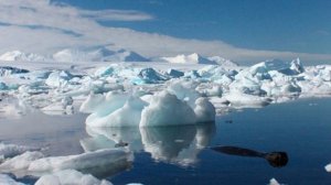 Антарктические ПЕЙЗАЖИ !