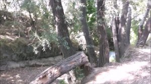 5 лет спустя или по дну реки Бельбек без водолазного сняряжения  15.08.2025г.