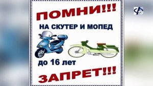 Безопасность ребёнка на дороге - забота родителей