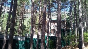 Нет — терроризму! Но проведена ли проверка законности выделения земли у Ялтинского заповедника?