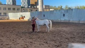 Центр иппотерапии в Уфе