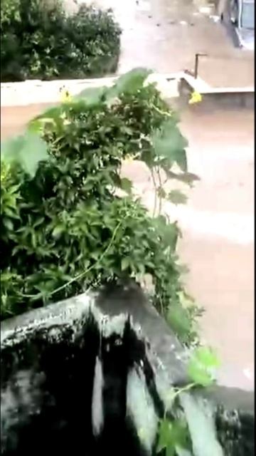 Сильное наводнение в Индоре Индия